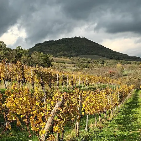 A Lovely House In Valley