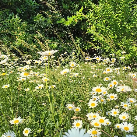 Σπίτι διακοπών A Lovely House In Valley *