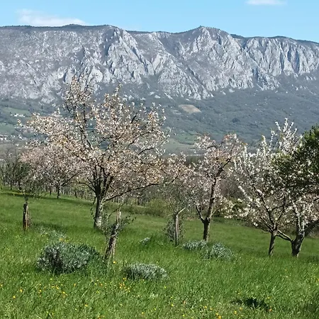 A Lovely House In Valley Σπίτι διακοπών Vipava