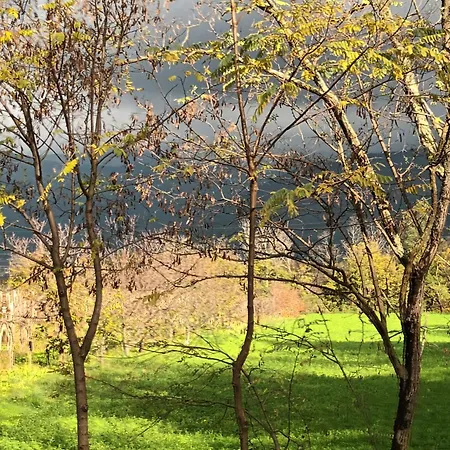 A Lovely House In Valley Vipava