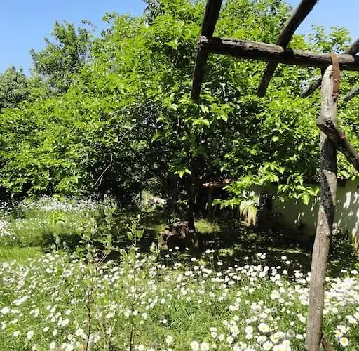 A Lovely House In Valley