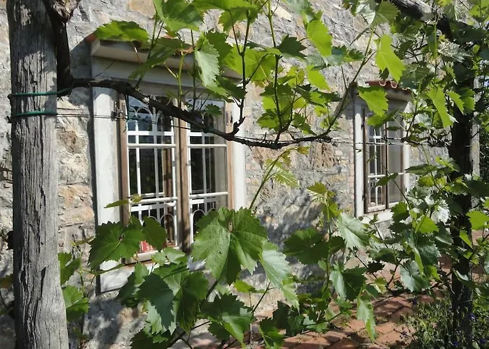 Tatil Evi A Lovely House In Valley Vipava