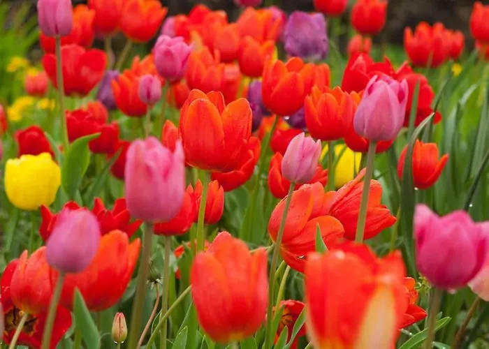 Casa vacanze A Lovely House In Valley *