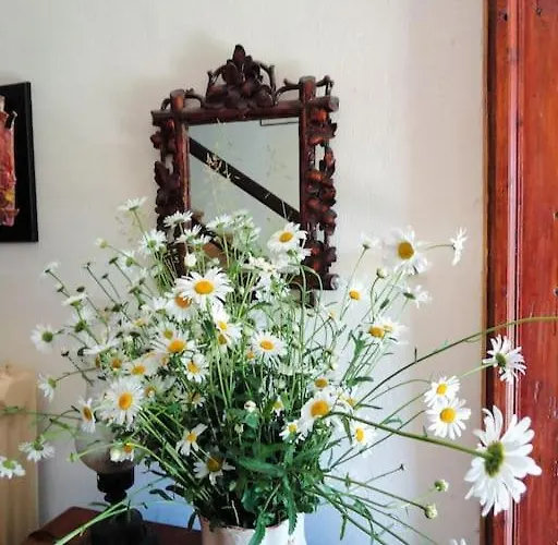 Tatil Evi A Lovely House In Valley