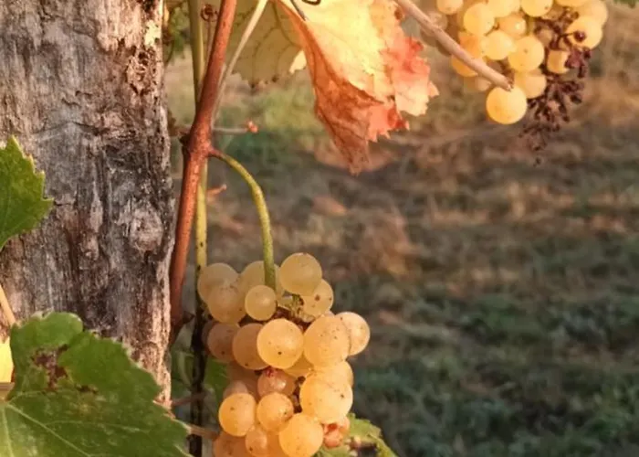 A Lovely House In Valley Casa vacanze
