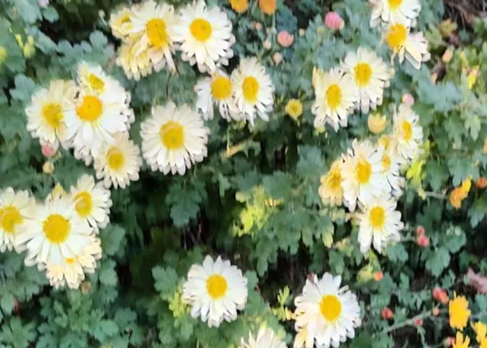 A Lovely House In Valley Casa vacanze