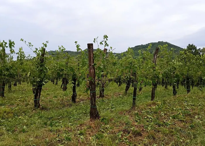 Casa vacanze A Lovely House In Valley