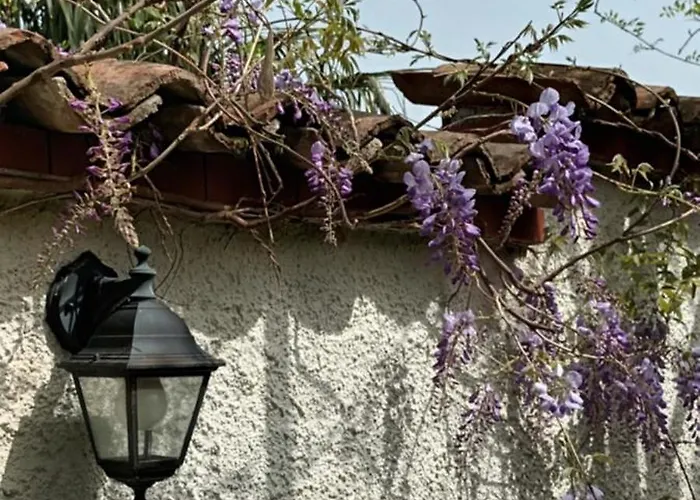 A Lovely House In Valley Casa vacanze Vipava