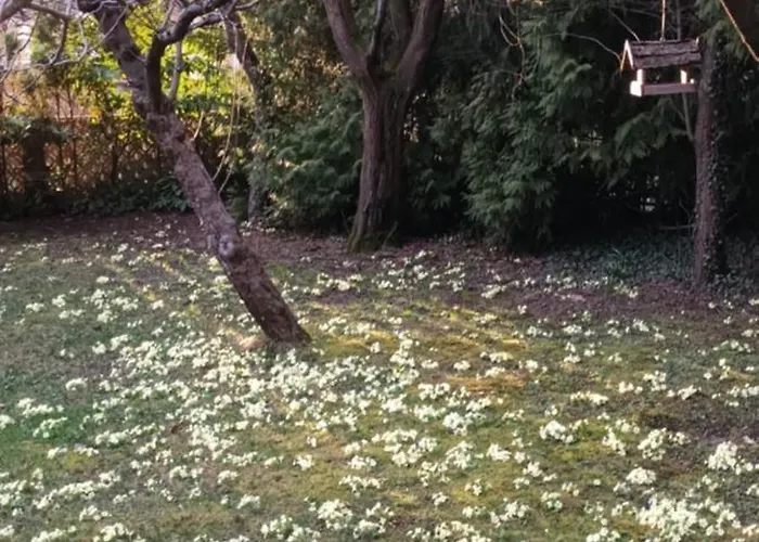 A Lovely House In Valley Vipava