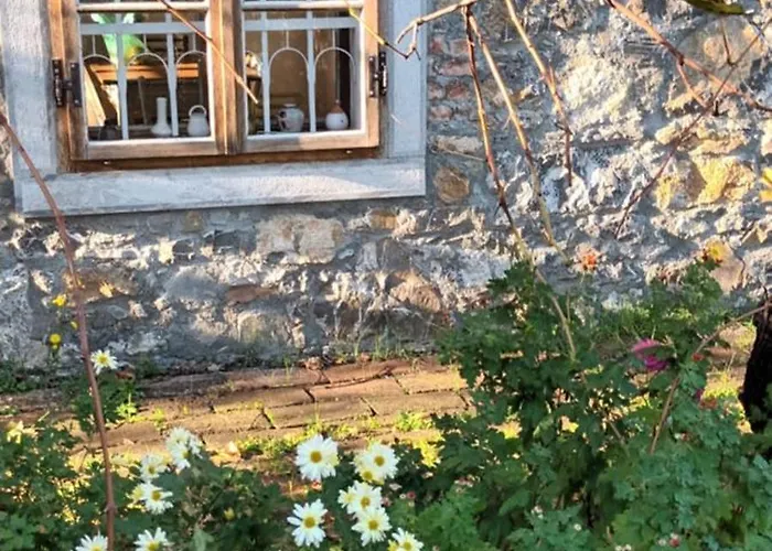 Casa vacanze A Lovely House In Valley *