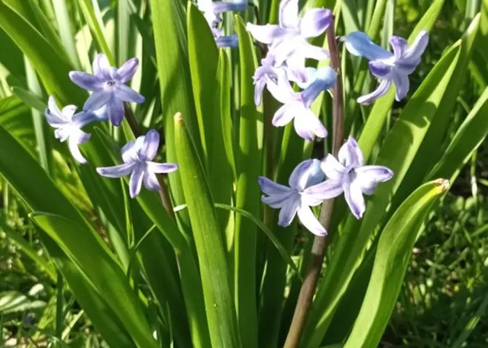 A Lovely House In Valley Casa vacanze