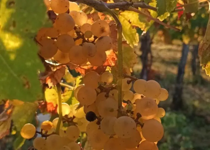 Casa vacanze A Lovely House In Valley