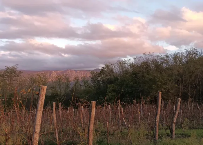 A Lovely House In Valley *