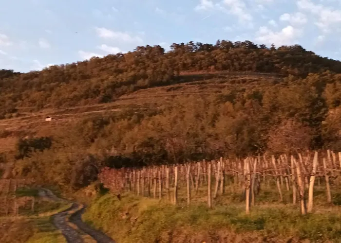 A Lovely House In Valley *