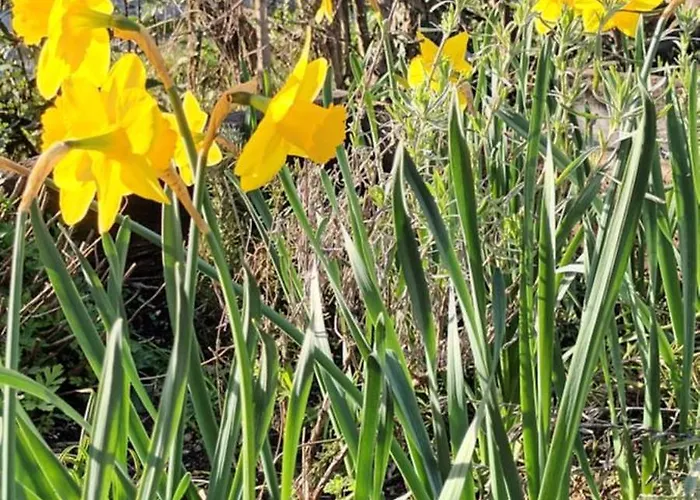 A Lovely House In Valley Tatil Evi