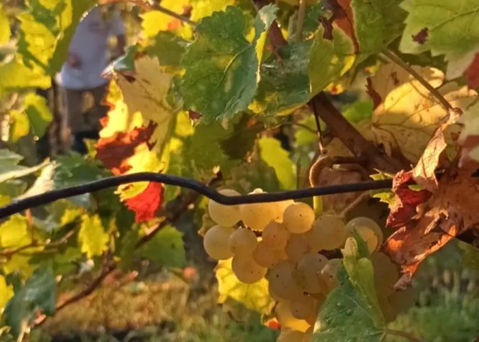 A Lovely House In Valley Casa vacanze