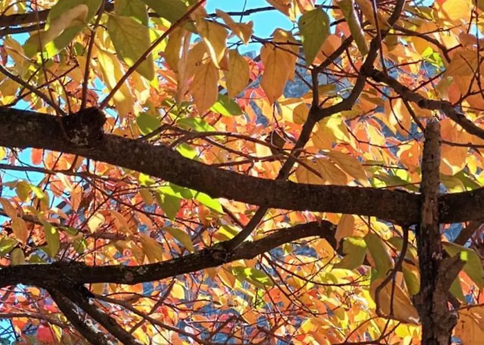 Tatil Evi A Lovely House In Valley