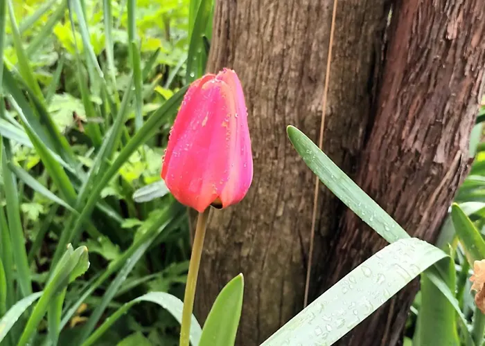 A Lovely House In Valley Tatil Evi