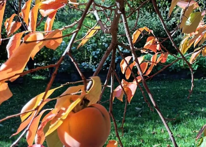 Casa vacanze A Lovely House In Valley *