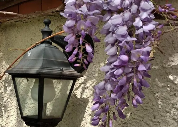A Lovely House In Valley Casa vacanze Vipava