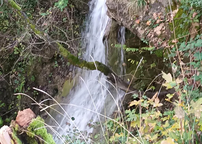 A Lovely House In Valley Vipava
