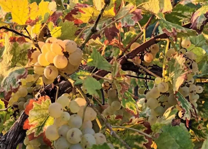 A Lovely House In Valley Tatil Evi *