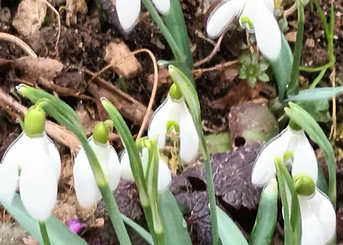 A Lovely House In Valley Casa vacanze *