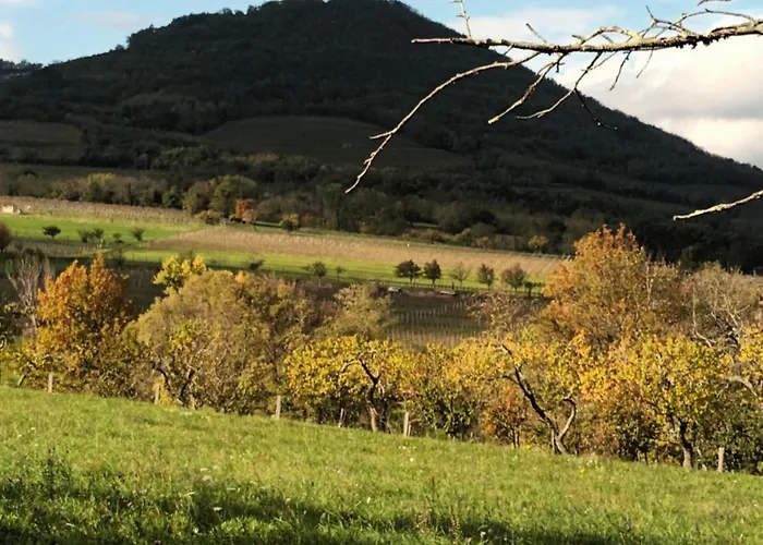 A Lovely House In Valley Vipava