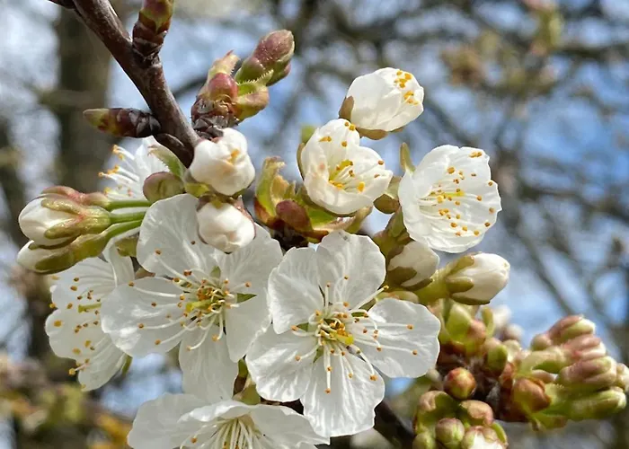 A Lovely House In Valley * Vipava