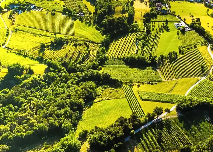 Casa vacanze A Lovely House In Valley