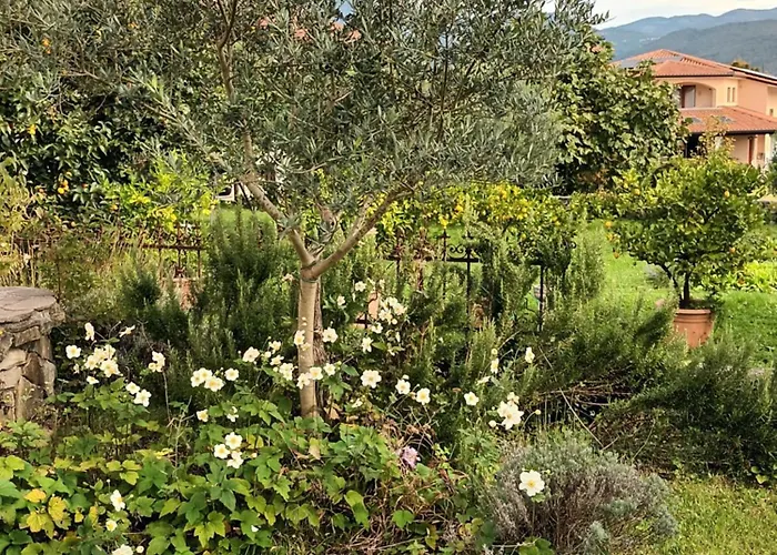 A Lovely House In Valley Tatil Evi *