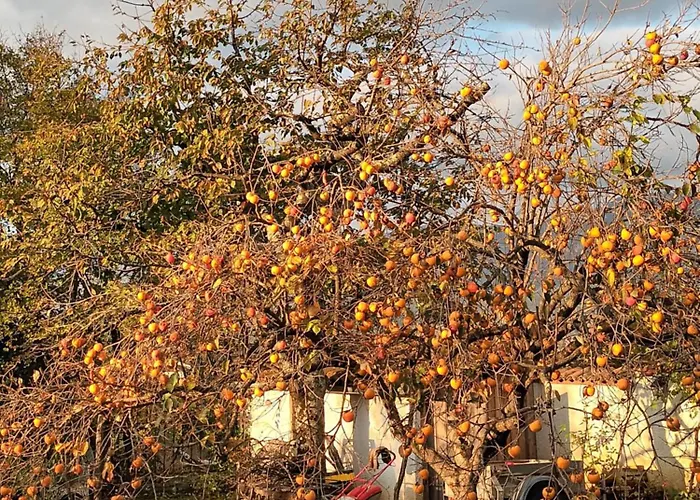 Tatil Evi A Lovely House In Valley Vipava