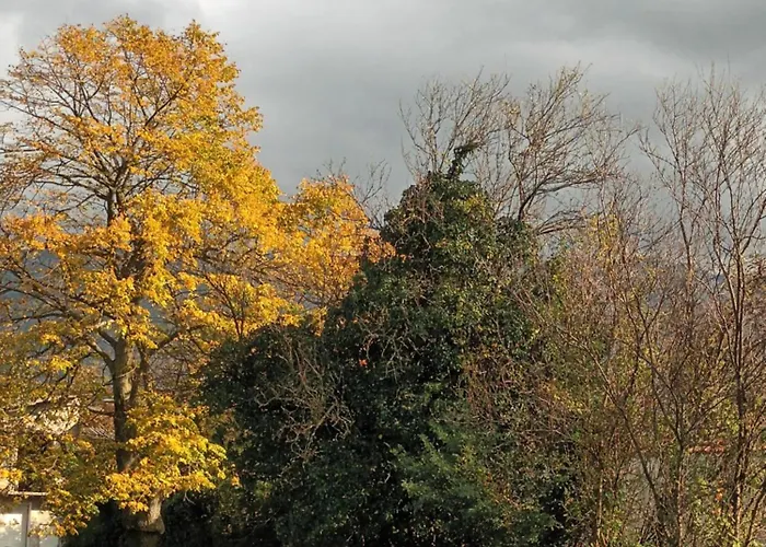A Lovely House In Valley Vipava