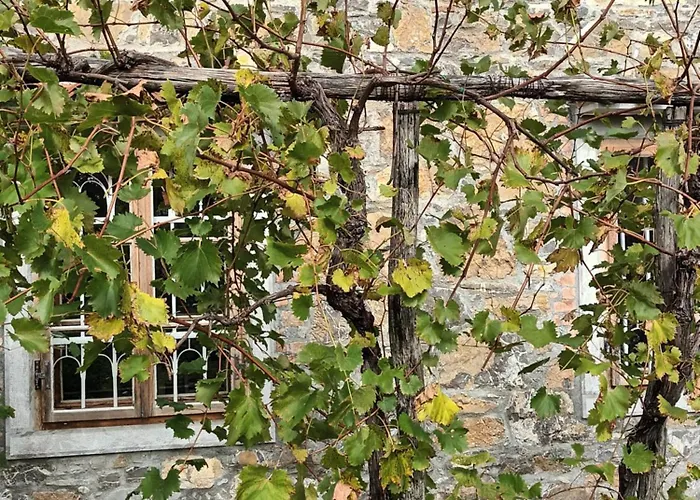 A Lovely House In Valley Tatil Evi Vipava