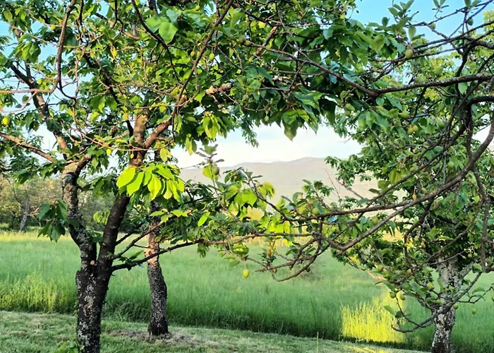 Tatil Evi A Lovely House In Valley *