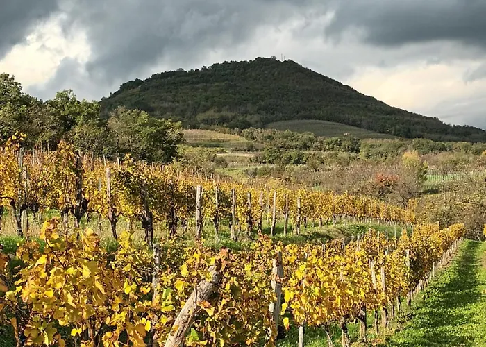 A Lovely House In Valley