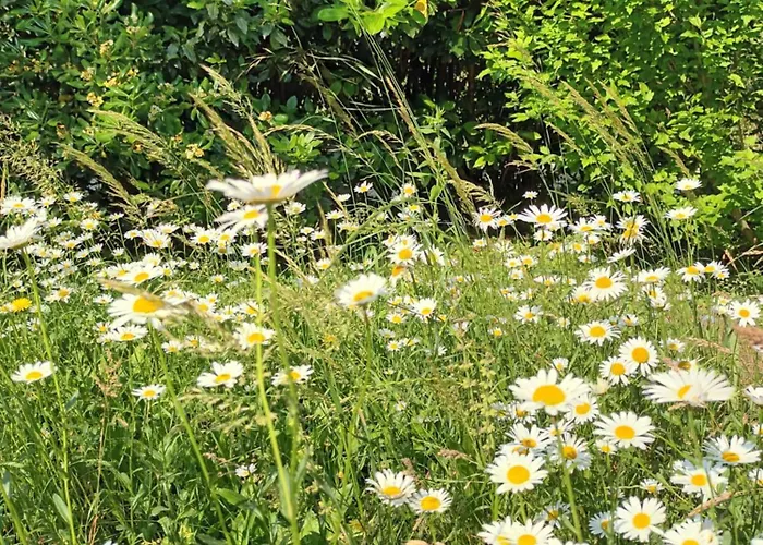 Tatil Evi A Lovely House In Valley *