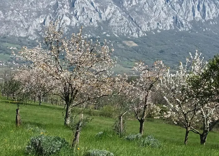 A Lovely House In Valley Tatil Evi Vipava