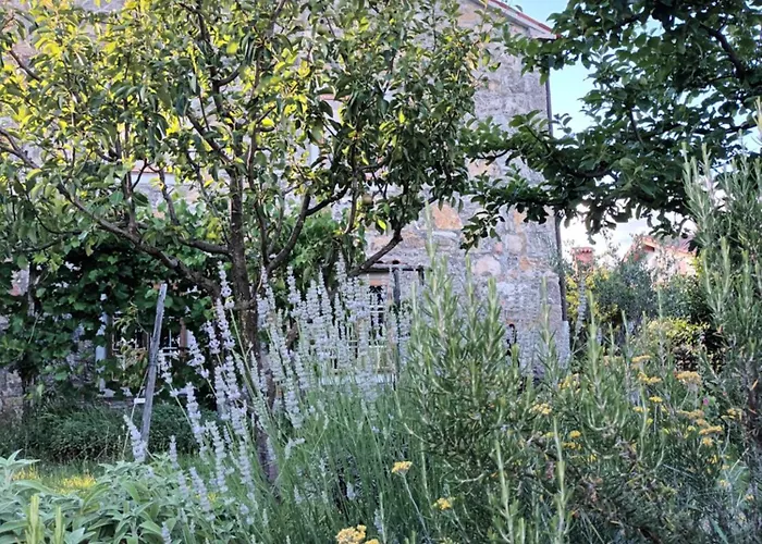 A Lovely House In Valley *