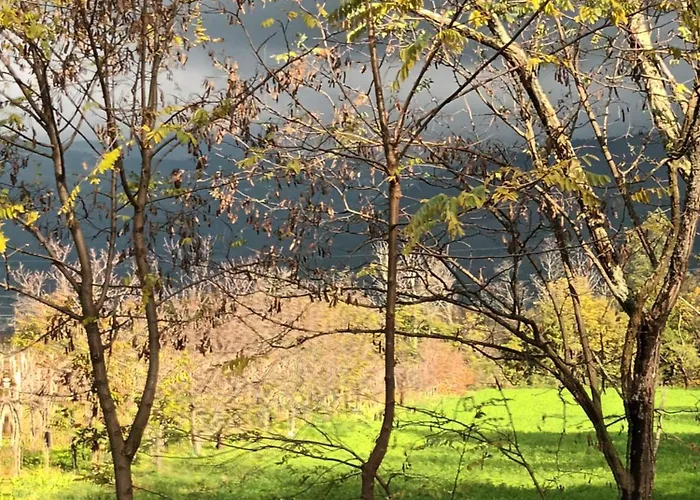 A Lovely House In Valley Vipava