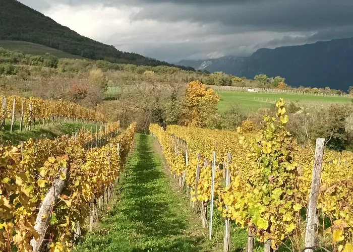A Lovely House In Valley * Vipava